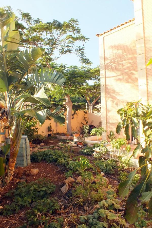 Apartmán Casa Nea El Rosario  Exteriér fotografie