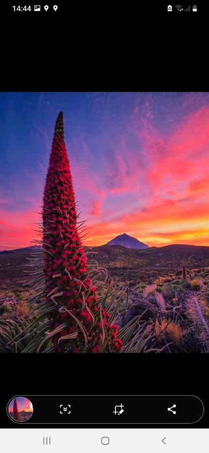 Apartmán Casa Nea El Rosario  Exteriér fotografie